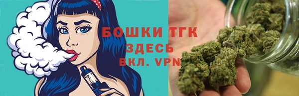 соль ск Лиски